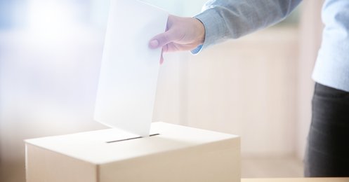 Online verkiezingen